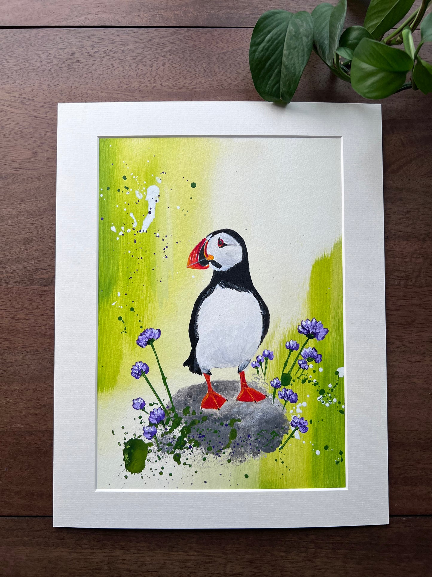 Puffin