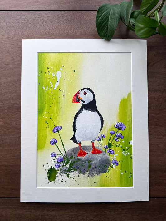 Puffin