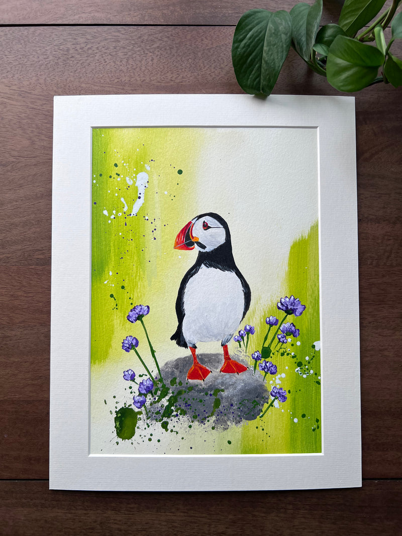 Puffin