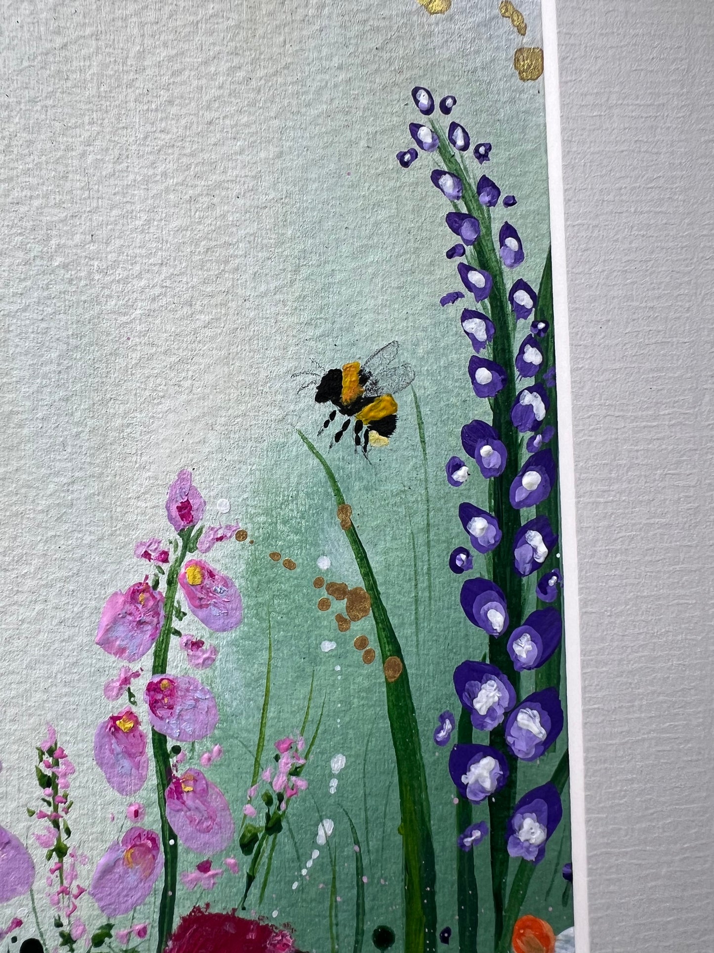 Spring Meadow